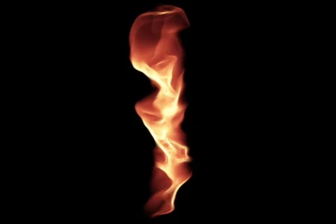 Fire Series: Vertical Flames Stock Footage 841945
