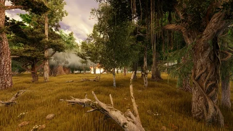 Fire services in the forest Stock Footage 121571001