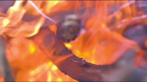 Fire set ablaze for barbecue grill Video stock 76139679