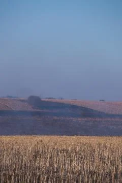 Fire set on corn field.Burning corn field after the harvest Stock Photos