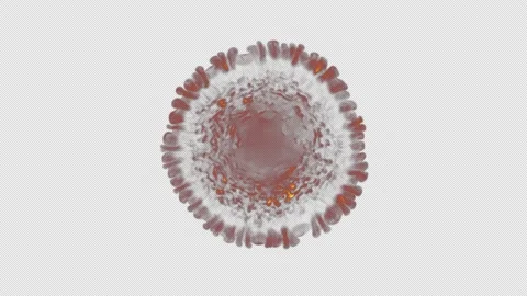 Fire shockwave blowing overlay isolated on alpha background in 4K Stock Footage 237622688