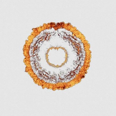 Fire Shockwave Видео 226937889