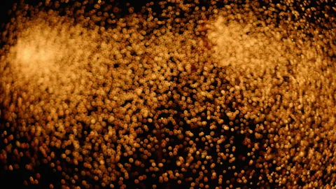 Fire show! Sparks of fire. Stock Footage 236766283
