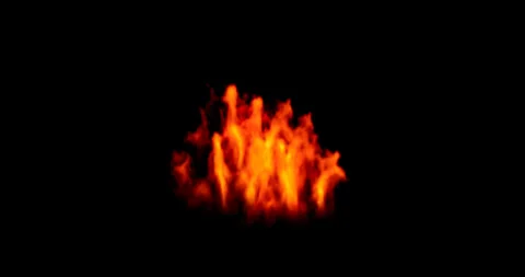 Fire simulation on black background Stock Footage 320007420