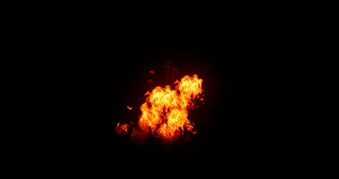 Fire simulation on black background Stock Footage 320007839
