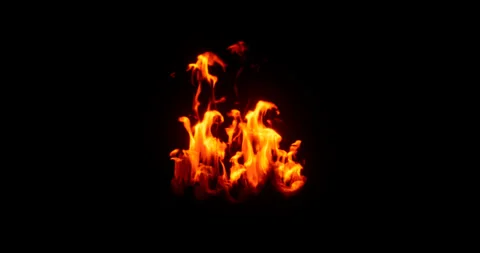 Fire simulation on black background Stock Footage 320008008