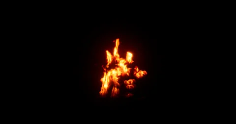 Fire simulation on black background Stock Footage 320008320
