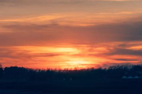 Fire in the sky sunset over a row of tree silhouettes Stock Photos