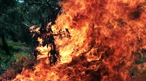 Fire in slow motion (1) Видео 23373614