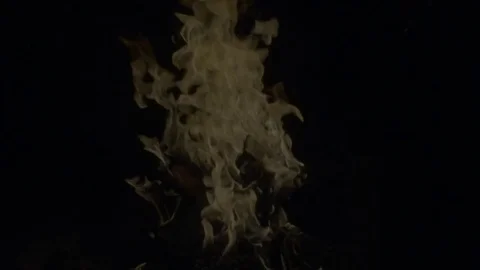 Fire in Slow Motion and Reverse Slow Motion with Crackling Sound Stock Footage 78495296