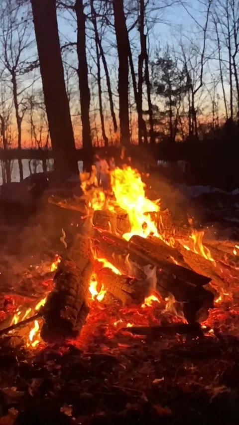 Fire slow motion vertical dusk sky bg Stock Footage 263843606