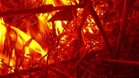 Fire Slowly Absorbing The Dry Plants in The Darkness Closeup Stock Footage 74853892
