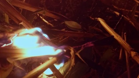 Fire Slowly Absorbing The Dry Stalk of a Plant in the Darkness Closeup Stock Footage 74853177