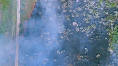 Fire in a small seaside town on a summer day.Non-residential building is on fire Stock Footage 187625926