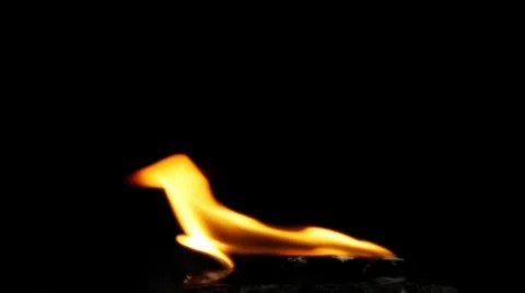 Fire Small Windy 03 Stock-Footage 8540554