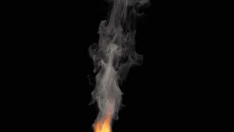 Fire with Smoke design on black background. Macro camera 스톡 동영상 142419297