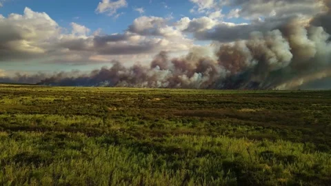 Fire smoke in a field. fires caused by drought. Climate Change, Global warming  Video stock 135853848