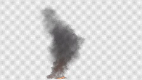 Fire Smoke 스톡 동영상 245270419