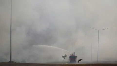 Fire smoke from forest burning 스톡 동영상 104737512