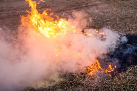 Fire smoke on the grass. Stock Photos