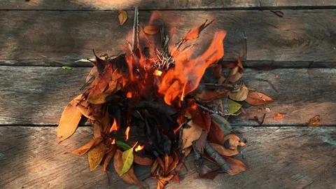 Fire with smoke on the wood. Stock Footage 242849558