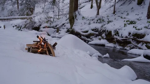 Fire on the snow in forest Stock Footage 101306843