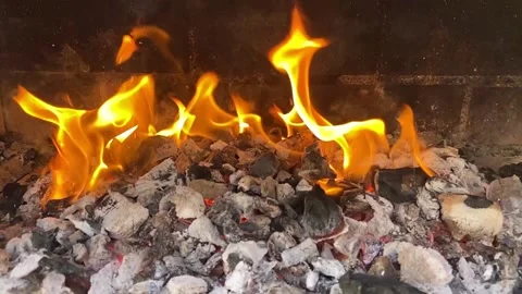 Fire on some embers in slow motion. Stock Footage 134635641