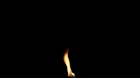 Fire Source for Composing isolated on Black Background Stock Footage 196809563