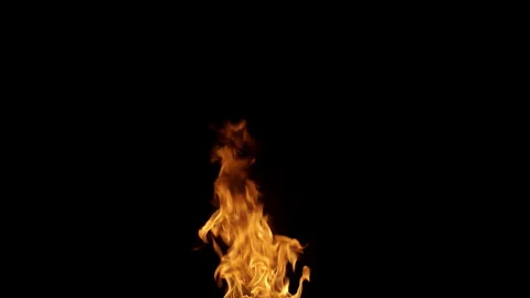 Fire Source for Composing isolated on Black Background Stock Footage 196810849