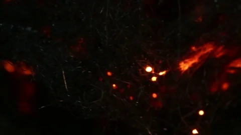 Fire Sparks Burn Throughout Steel Wool MAC Stock Footage 74538341