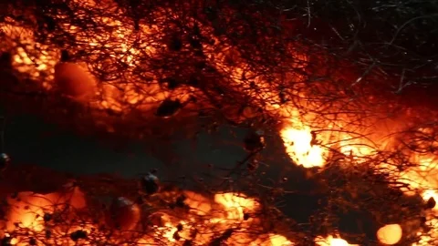 Fire Splits Steel Wool in Half MAC Stock Footage 74540224