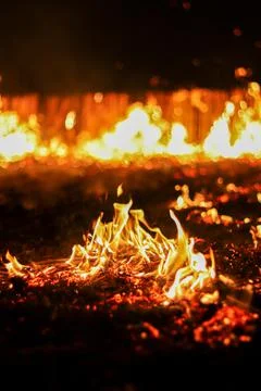 Fire spreading in a dry wheat field Photos