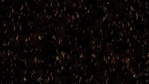 Fire Spreading in Open Field on Black Screen Background Stock Footage 317292877