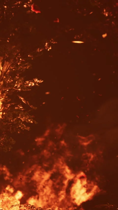Fire spreads across the forest during the night with bright flames and smoke Stock Footage 346677463