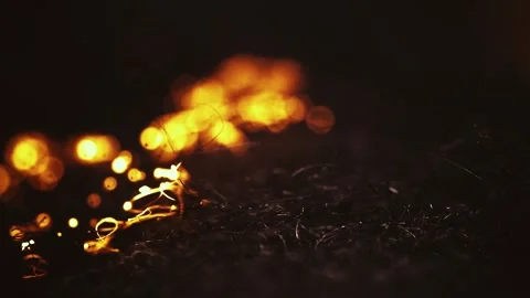 Fire Spreads in Close Up Stock Footage 300884647