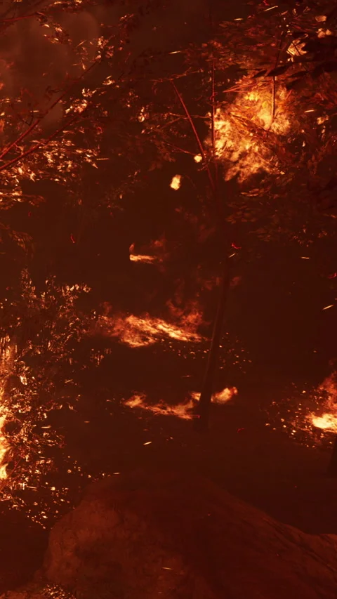 Fire spreads through forest during nighttime Stock Footage 346677287