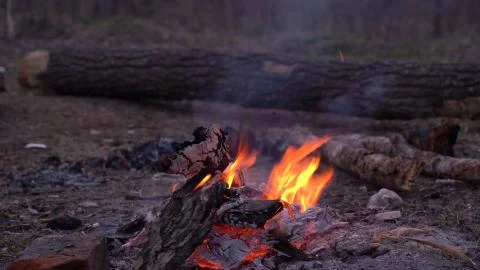 Fire. Spring fire in the forest. In the evening, by the fire in a forest clea Foto stock
