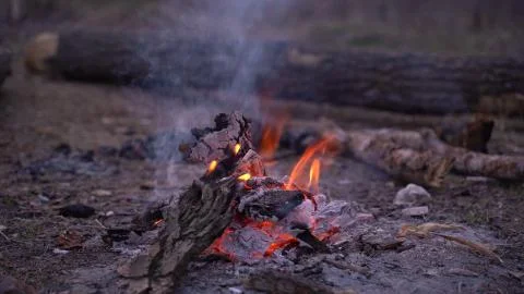 Fire. Spring fire in the forest. In the evening, by the fire in a forest clea Stock Photos