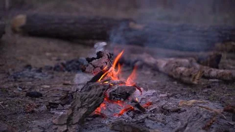 Fire. Spring fire in the forest. In the evening, by the fire in a forest clea Stock Photos