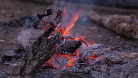 Fire. Spring fire in the forest. In the evening, by the fire in a forest clea Stock Photos