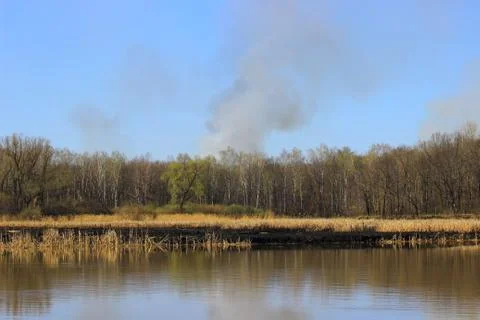 Fire in spring forest Stock Photos