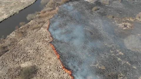 Fire in the spring period in the floodplain of the river. Stock Footage 144874761