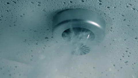 Fire Sprinkler Activates And Sprays Camera POV Stock Footage 240145232