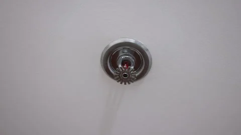 Fire sprinkler system activating with water spray Stock Footage 338337638
