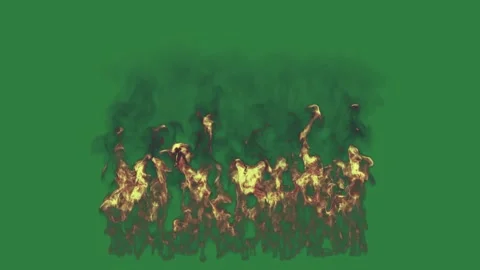 Fire Standing With Flames - Chroma Key Green Screen Footage Stock Footage 338015009