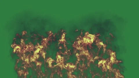 Fire Standing With Flames On Green Screen Chroma Key Background Stock Footage 338015016