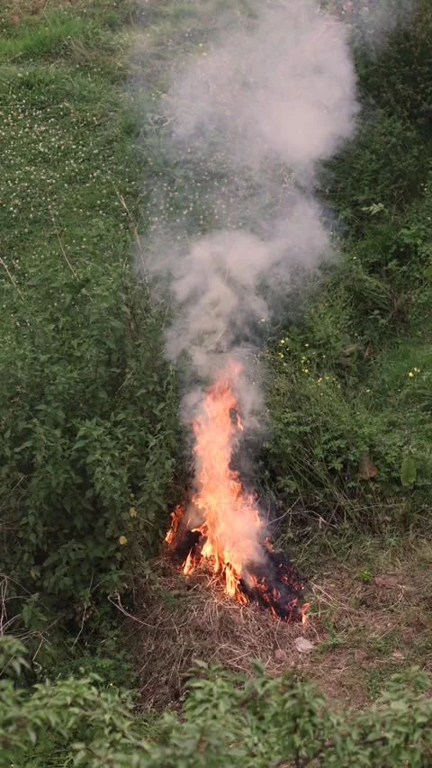 The fire started in the field because of a bonfire. Stock Footage 288221612