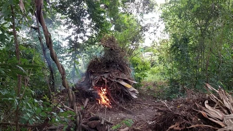 The fire is starting to burn Stock Footage 260231223