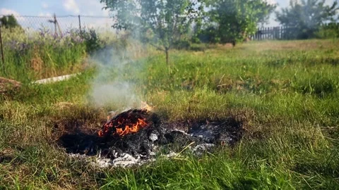 Fire Starts Burning dry grass in a countryside Stock Footage 160414388