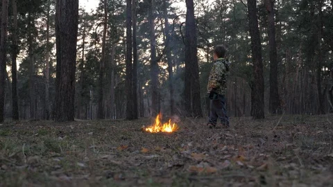 Fire starts in the forest. Arson in Park. Setting fire to nature, flora, fauna Stock Footage 106533387